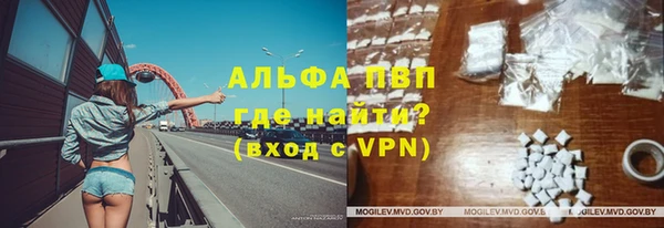шишки Алзамай