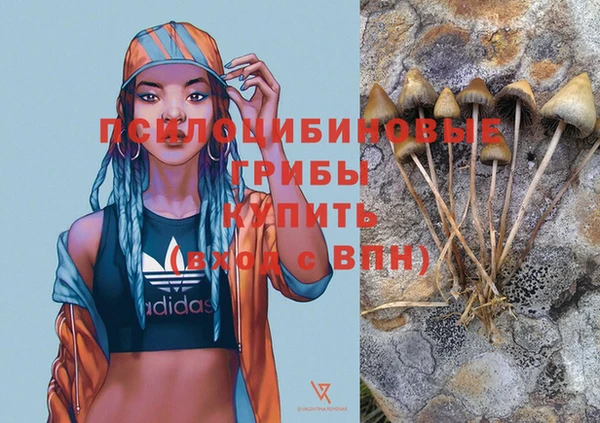 Альфа ПВП Алексеевка