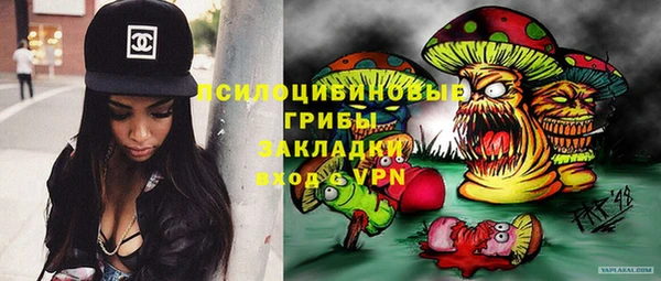 шишки Алзамай