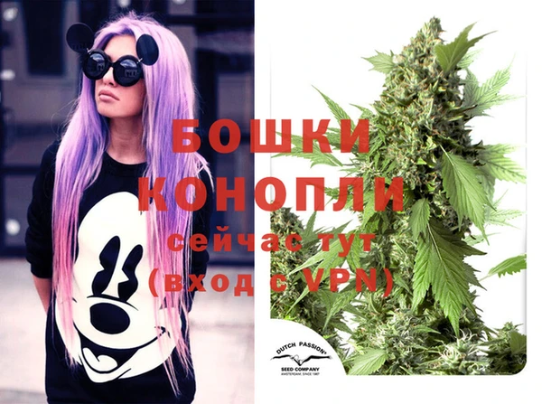 шишки Алзамай