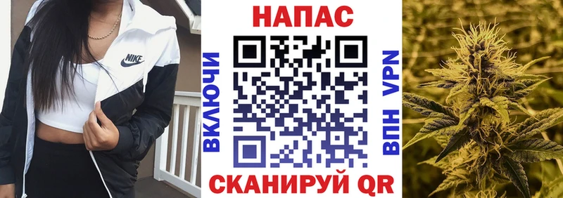 Бошки Шишки индика  Жирновск 